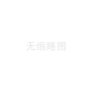 大功率转换器A